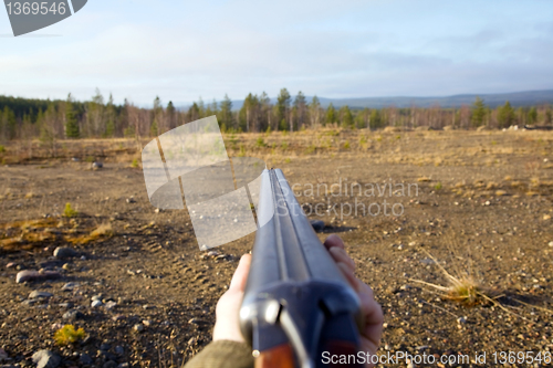 Image of Shotgun pointing at the target