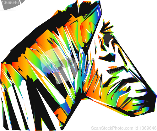 Image of color zebra head 