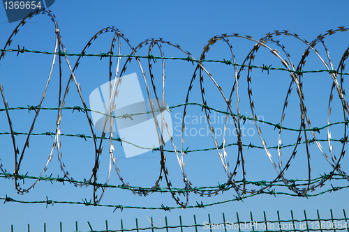 Image of barbed wire background