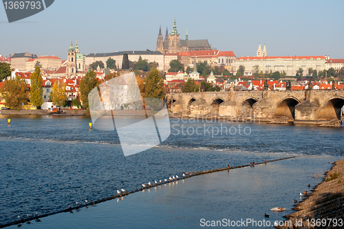 Image of Prague