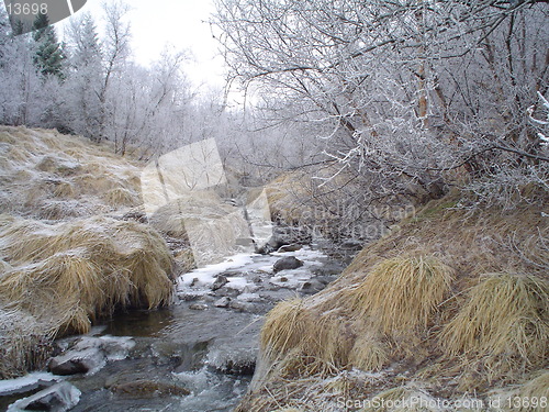 Image of cold and frosen