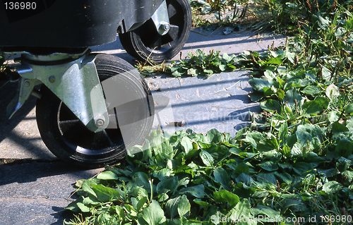 Image of Dustbin