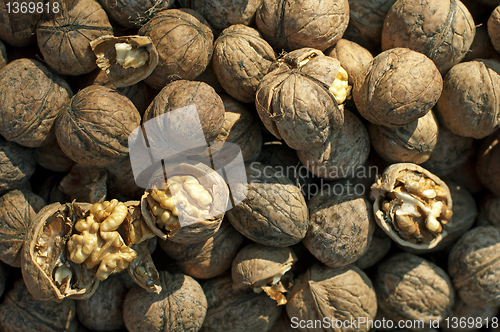 Image of Walnuts in shell