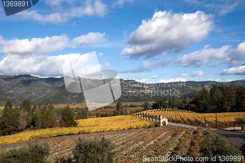 Image of Wine Country