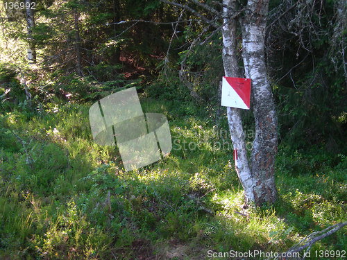 Image of Orienteering