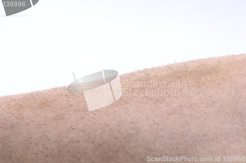 Image of Unshaved Leg Hair 2