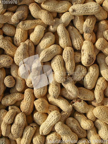 Image of Peanuts picture
