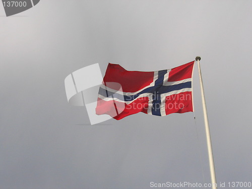 Image of Flag