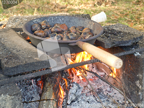 Image of Barbecue picture