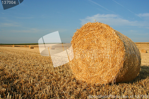 Image of hay bale