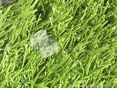 Image of Artificial grass