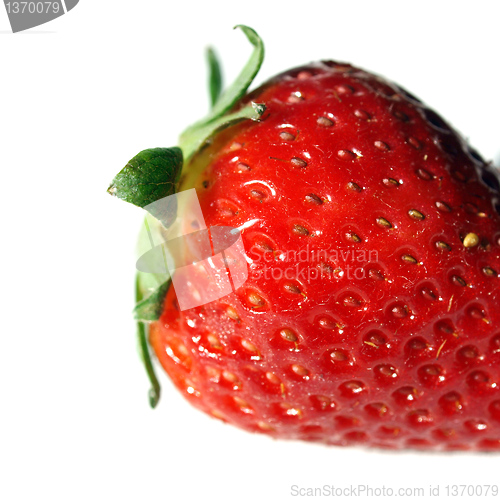 Image of Strawberry