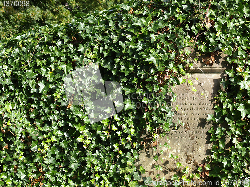 Image of Glasgow cemetery