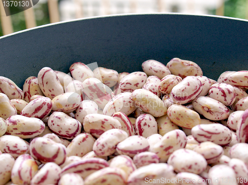 Image of Beans salad