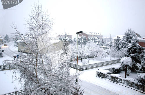 Image of Snow picture