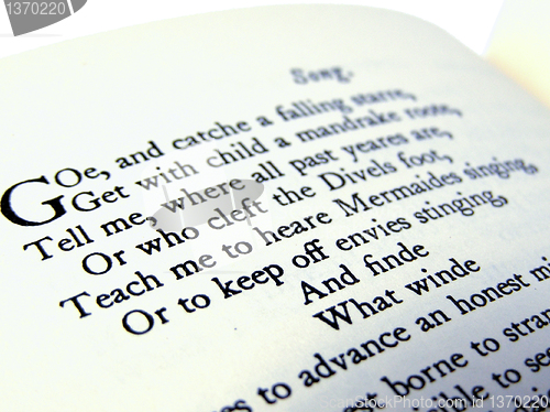 Image of Book picture