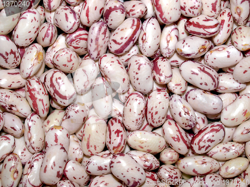 Image of Beans salad