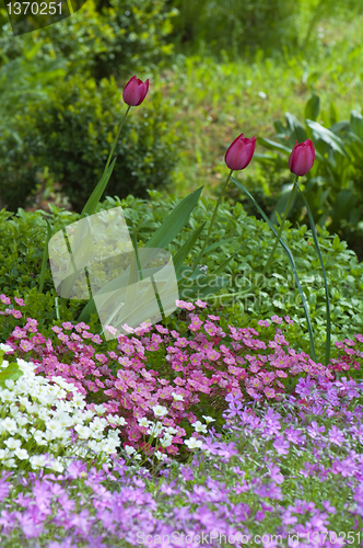 Image of Well-groomed spring garden 