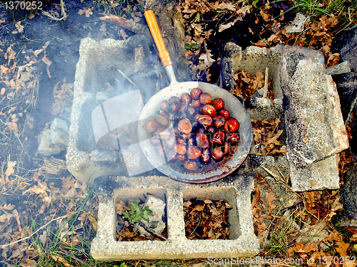 Image of Barbecue picture