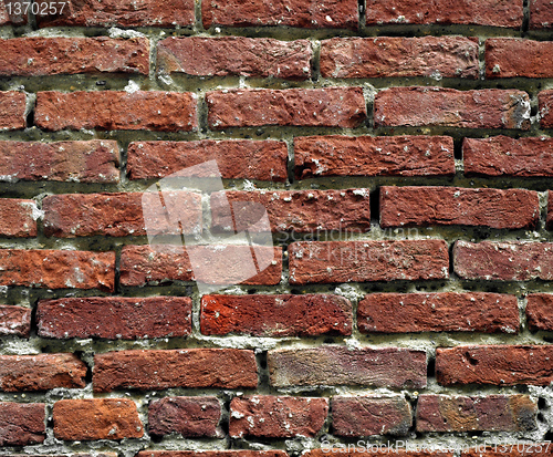 Image of Brick wall