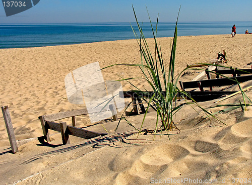 Image of Coast of Baltic