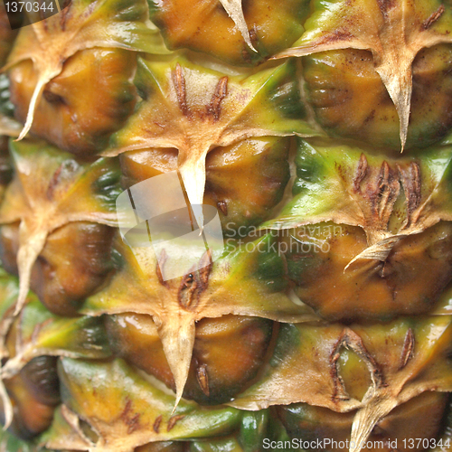 Image of Pineapple picture