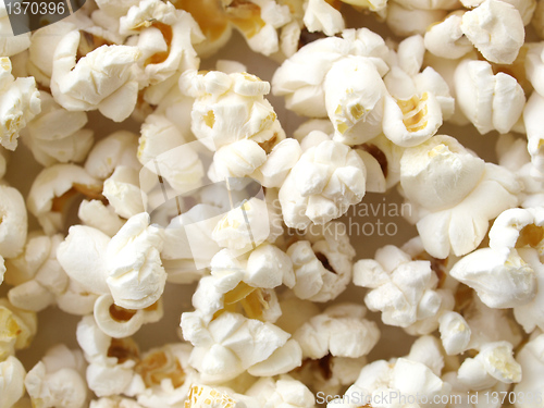 Image of Pop Corn