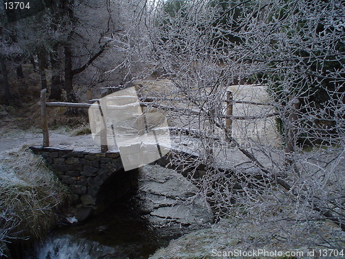 Image of louded bridge in forest