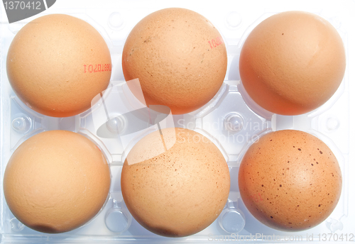 Image of Eggs picture