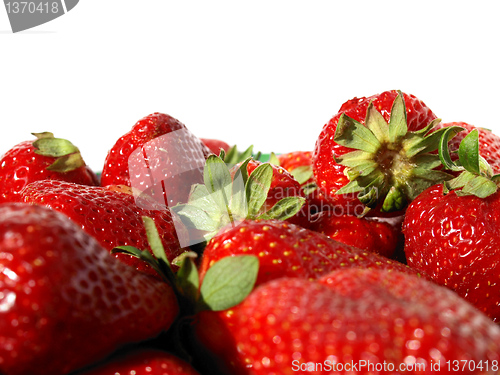 Image of Strawberry
