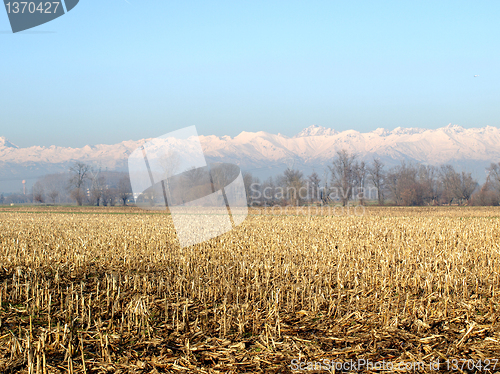 Image of Field picture