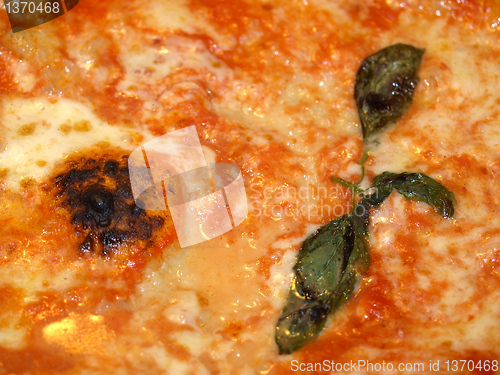 Image of Pizza Margherita