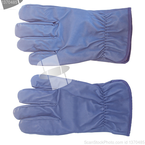 Image of Gloves picture