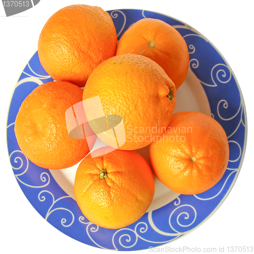 Image of Oranges picture