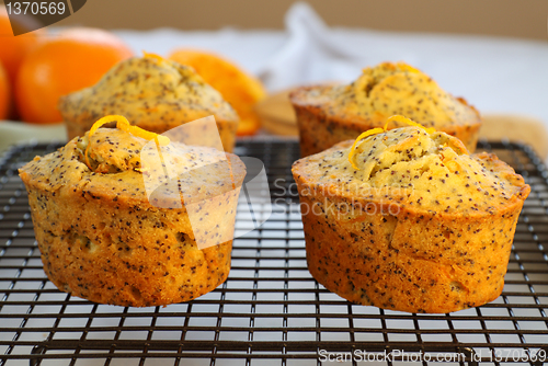 Image of Orange And Poppyseed Cakes