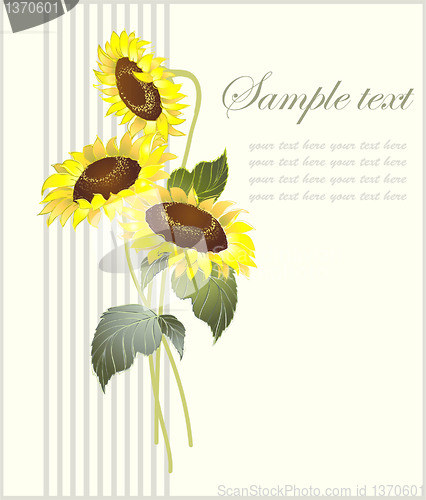 Image of Greeting card with a sunflower