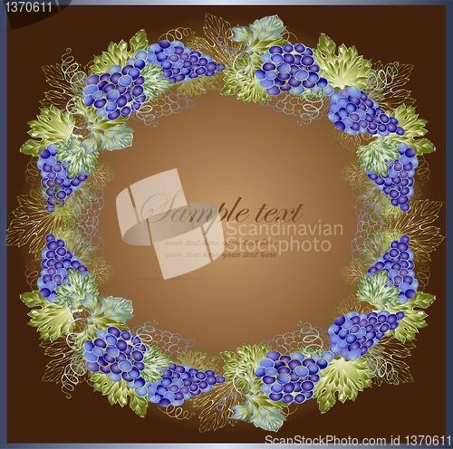 Image of Illustration grapevine. Vintage background with grape branch . 