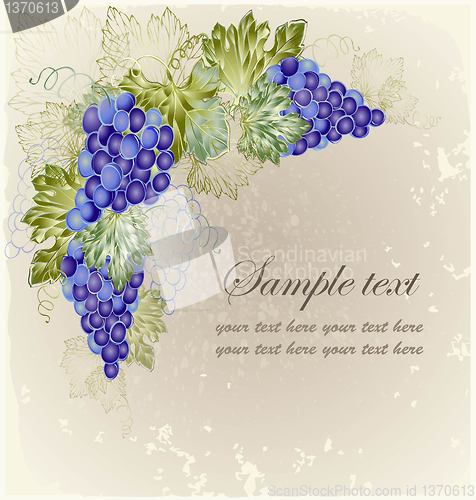 Image of Illustration grapevine. Vintage background with grape branch . 