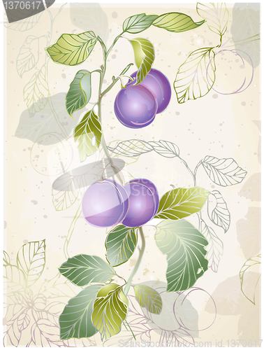 Image of Greeting card with plums. 