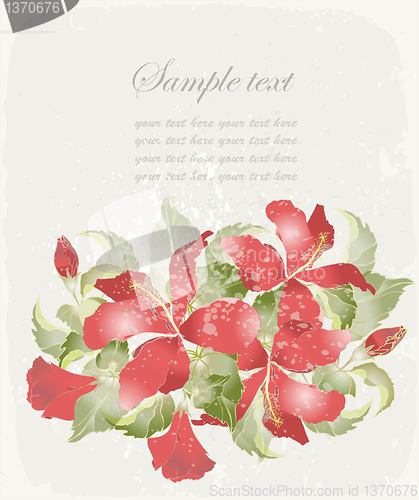 Image of Greeting card with hibiscus. Illustration hibiscus.