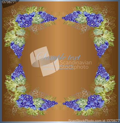 Image of Illustration grapevine. Vintage background with grape branch 