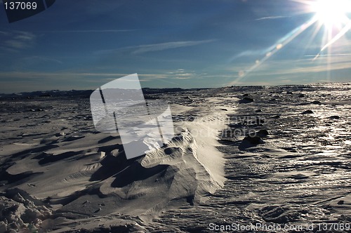 Image of Norwegian skiing