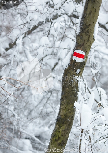 Image of Hiking trail sign in a winter forest