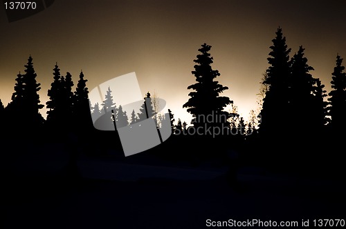 Image of Winter Twilight