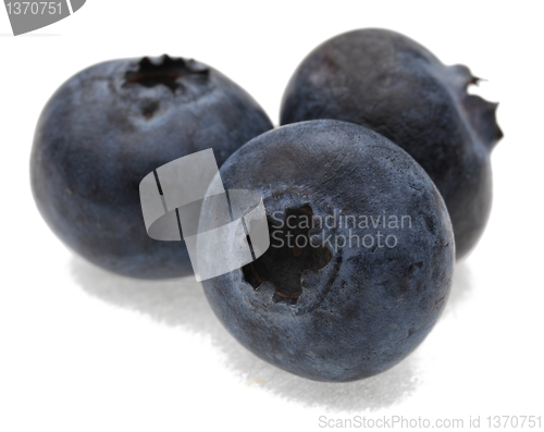 Image of Blueberries