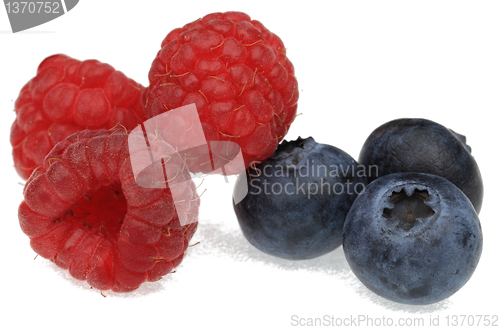 Image of Forest fruits