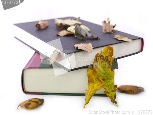 Image of Books