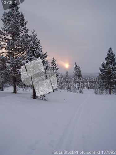 Image of Low sun on snowy landscape, Rørosvidda, Norway