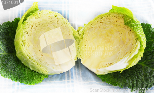 Image of Savoy cabbage