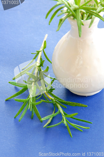 Image of Rosemary